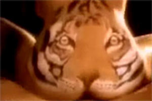 Geile slet is een tijger in bed